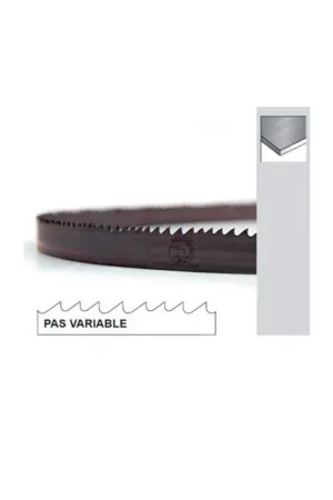 Acheter En Ligne Lame de scie à ruban BIMETAL - Longueur 2480 x 27 x 0.9 mm - Denture 5/8 TPI