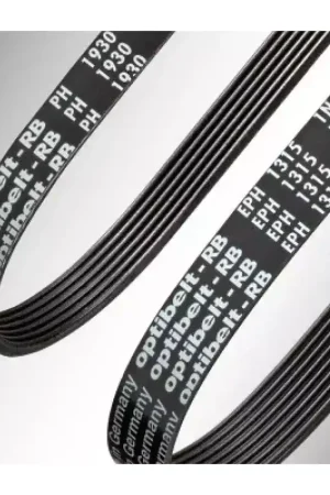 Acheter Direct OPTIBELT - Courroie striée