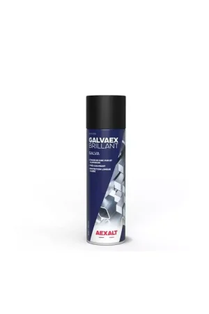 Affaire À Saisir AEXALT - Aérosol 650 ml GALVA BRILLANT